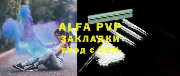 PSILOCYBIN Нея