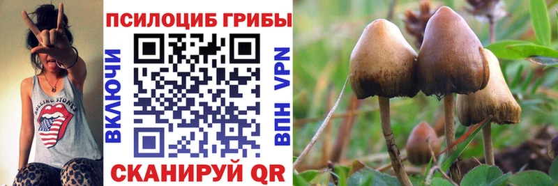 shop какой сайт  купить наркоту  Сольцы  Галлюциногенные грибы Magic Shrooms 