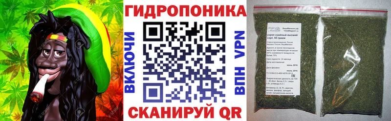 МЕГА зеркало  магазин продажи наркотиков  Сольцы  Конопля ГИДРОПОН 